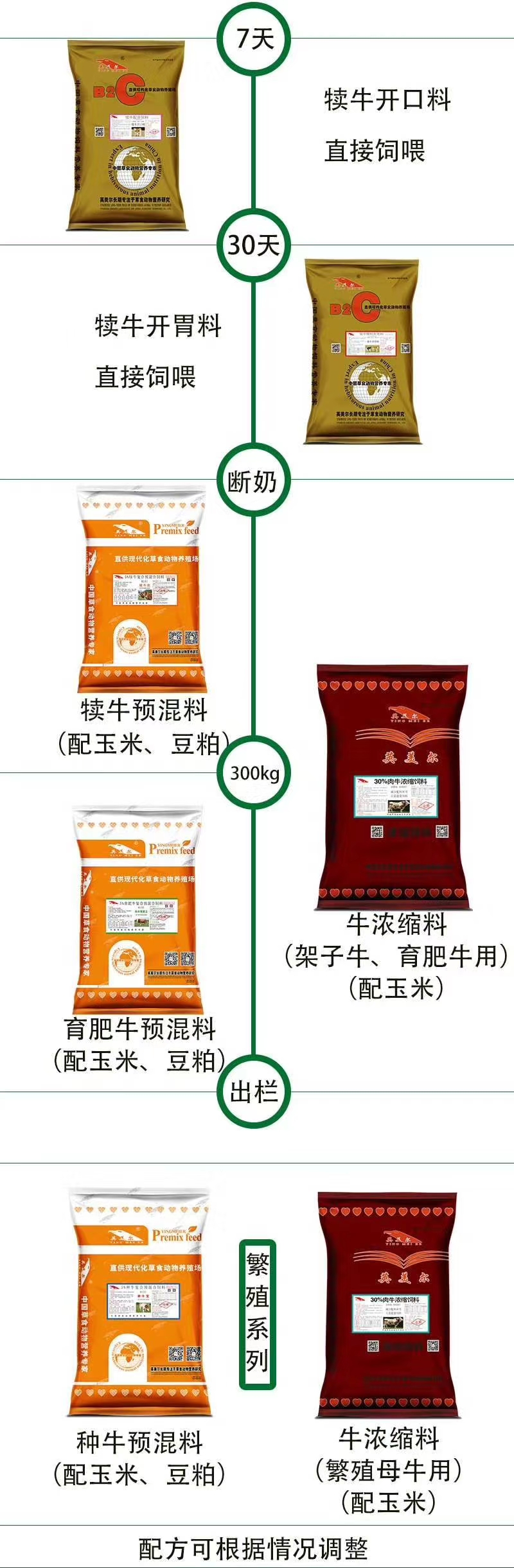 2、育肥奶牛吃農業(yè)收縮飼料是怎么回事？ 